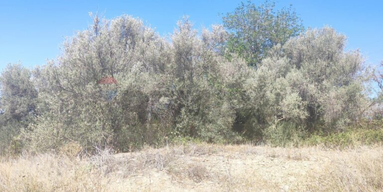 20250217141042-929964-8