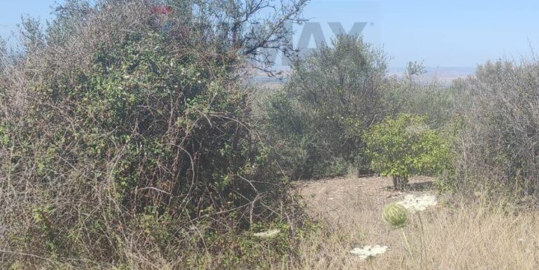 20250217141043-929964-10