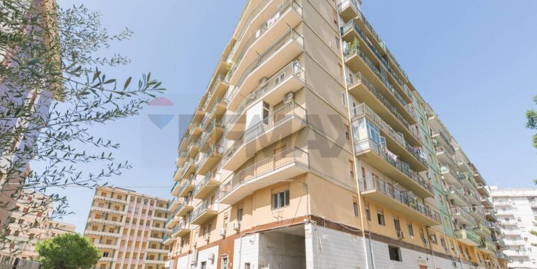 20250218175642-930395-1