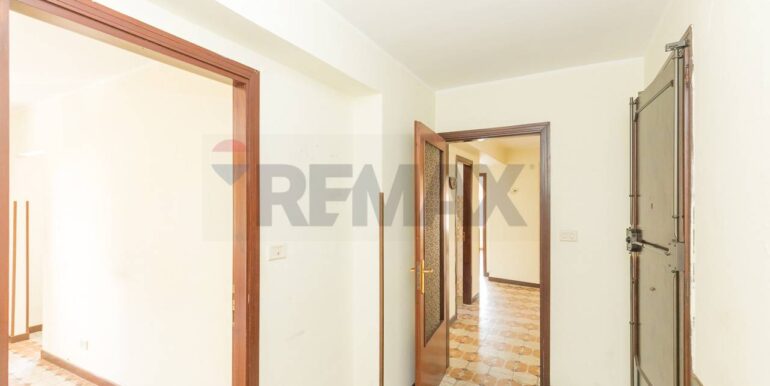 20250218175647-930395-4