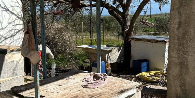 20250220172056-930685-7