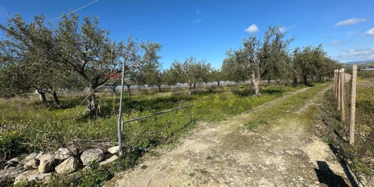 20250220172153-930685-34