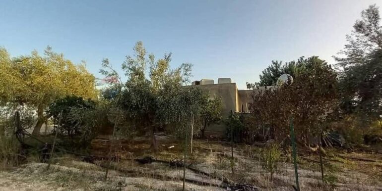 20250221103433-930685-33