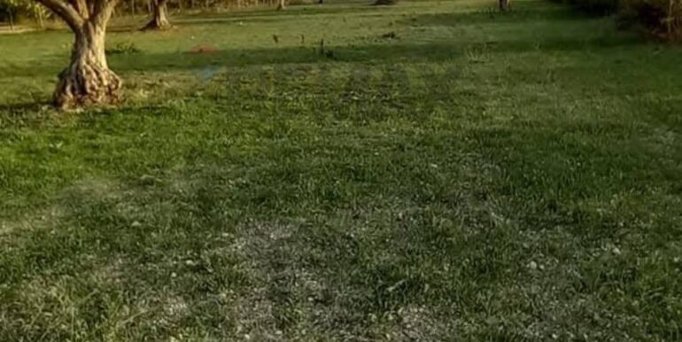 20250221103434-930685-34