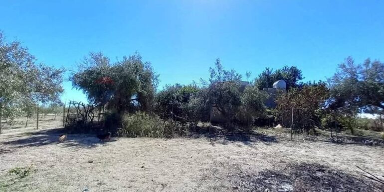 20250221103436-930685-36