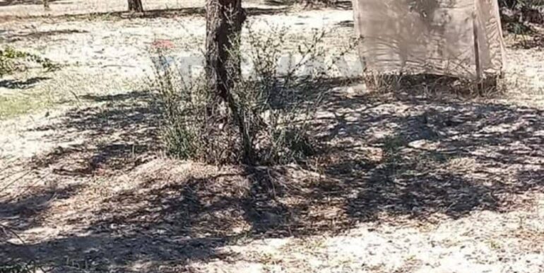 20250221103437-930685-37