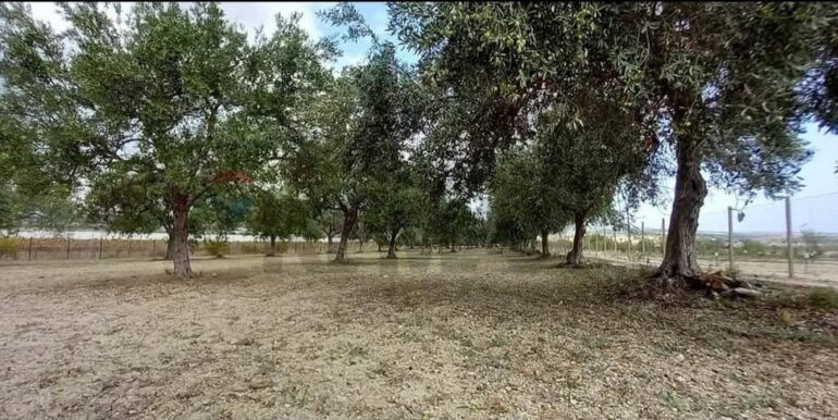 20250221103438-930685-38