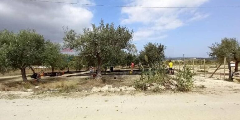 20250221103439-930685-39