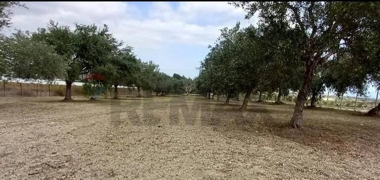 20250221103441-930685-41