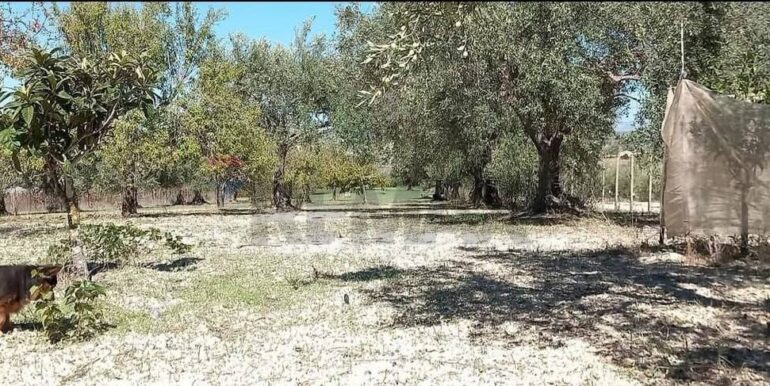 20250221103443-930685-42