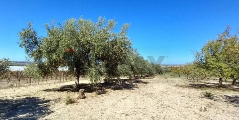 20250221103444-930685-43