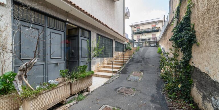 20250224123325-931603-5