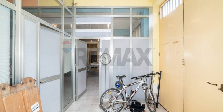 20250224123329-931603-7