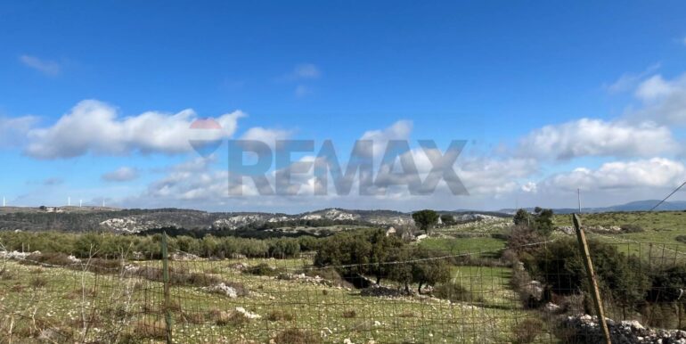 20250224124757-931598-1