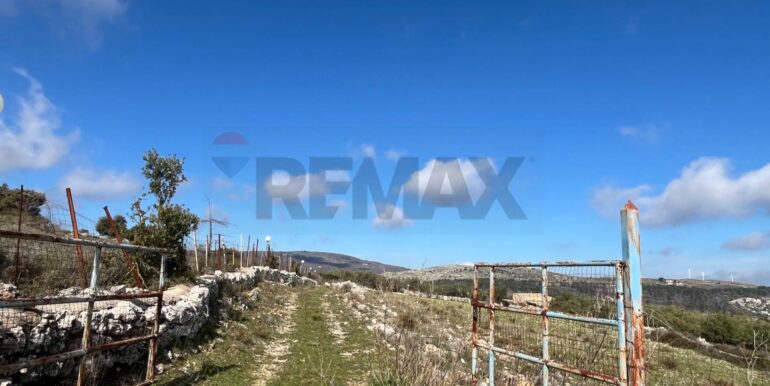 20250224124800-931598-2