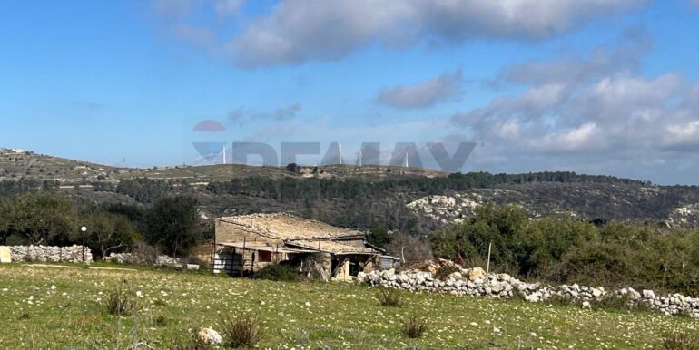 20250224124802-931598-3