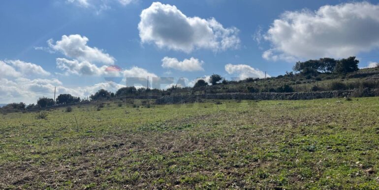 20250224124805-931598-4