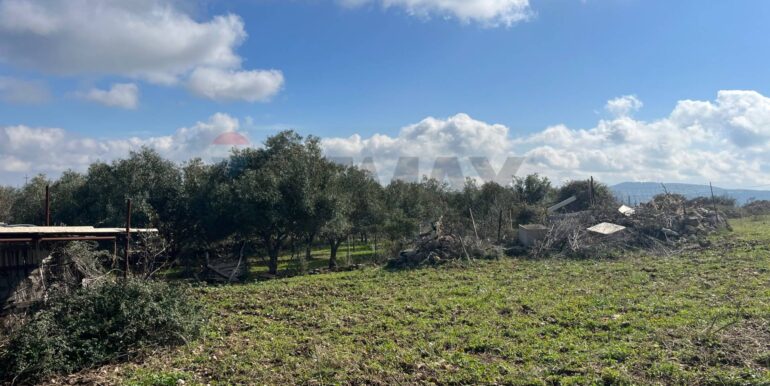 20250224124812-931598-5