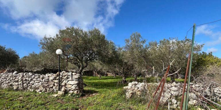 20250224124818-931598-7