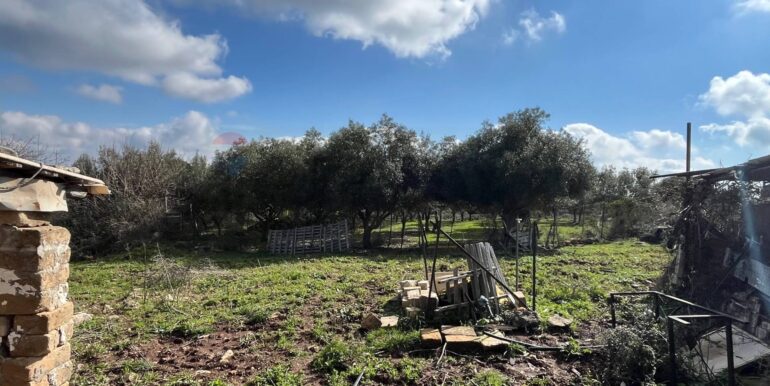 20250224124821-931598-8