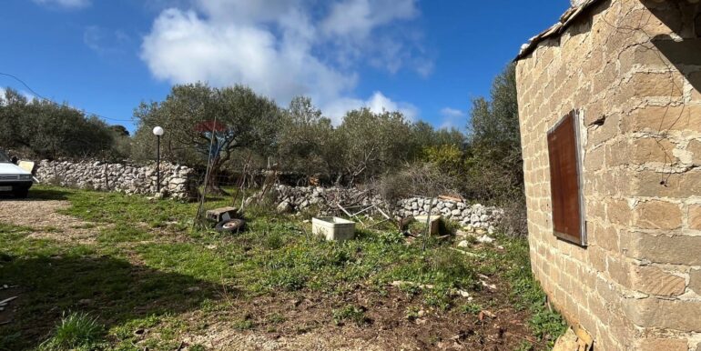 20250224124827-931598-10