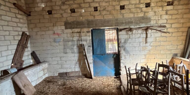 20250224124833-931598-13