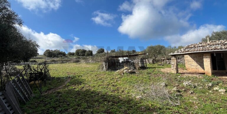 20250224124840-931598-16