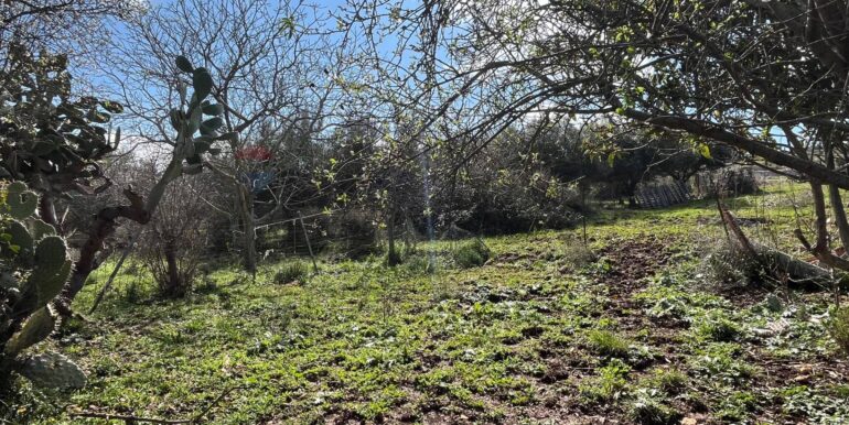 20250224124843-931598-17