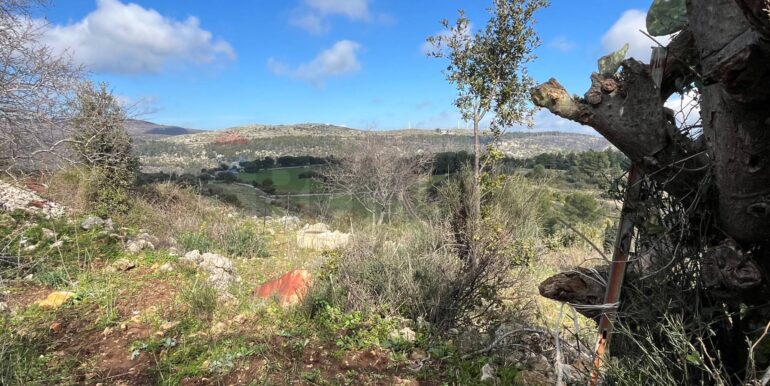 20250224124847-931598-18