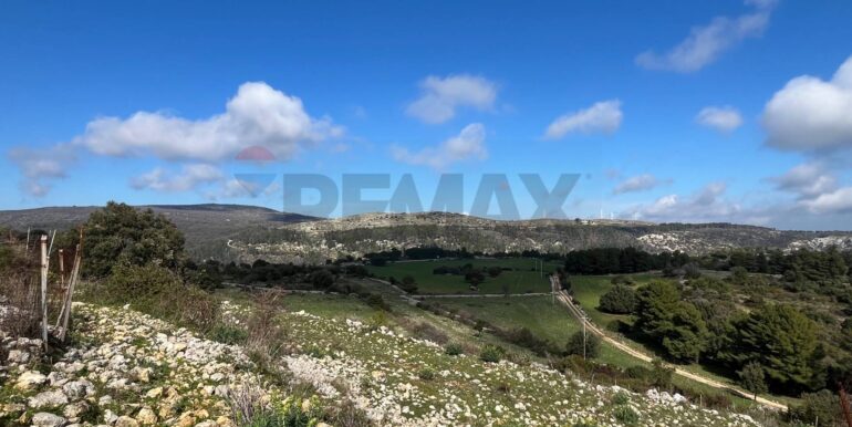 20250224124849-931598-19