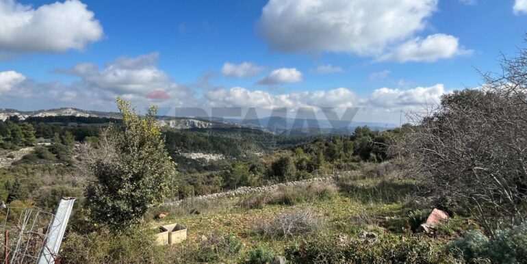 20250224124852-931598-20