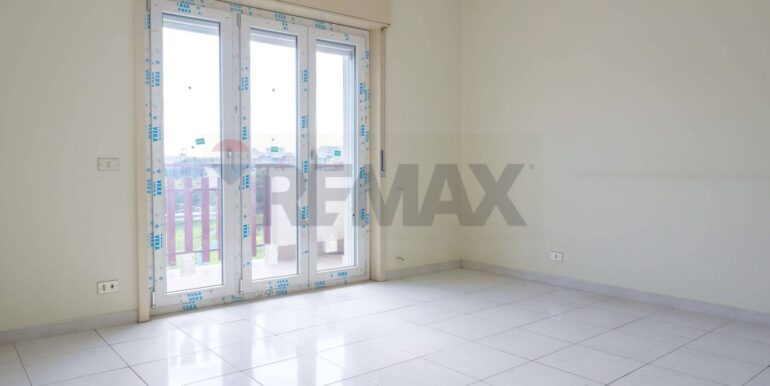 20250224184956-931557-1