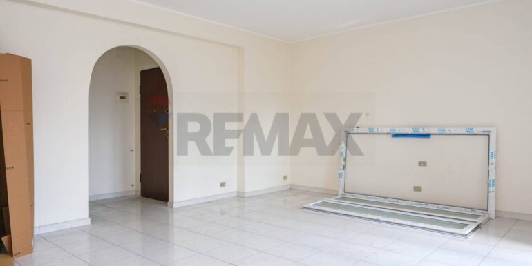 20250224185002-931557-6