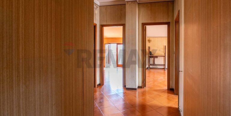 20250225194525-928657-2