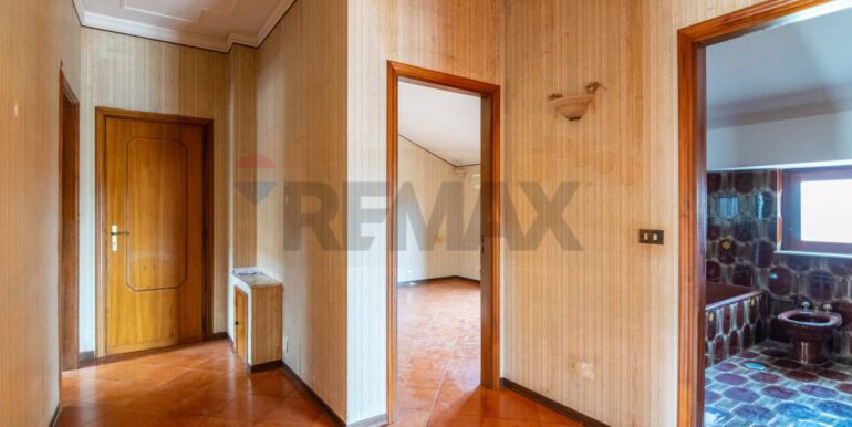 20250225194542-928657-11