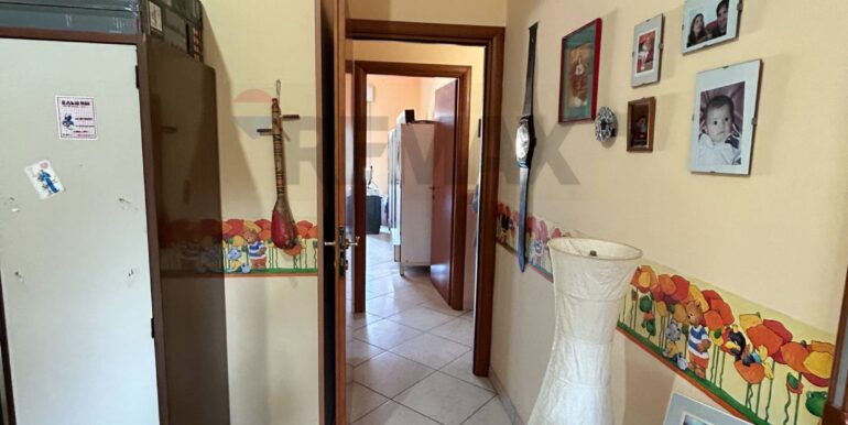 20250226115409-932525-6