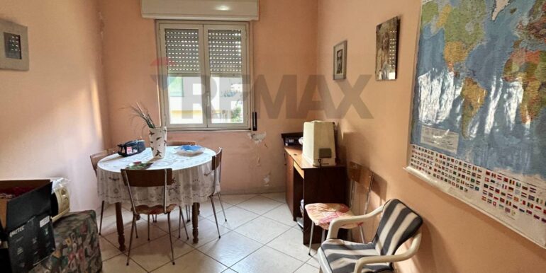 20250226115410-932525-8