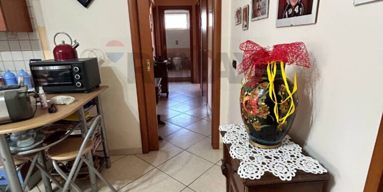 20250226115411-932525-14