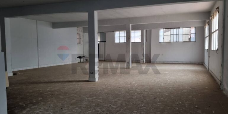 20250228114602-933144-1