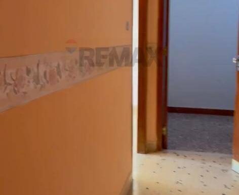 20250228142349-933192-5