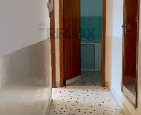 20250228142349-933192-8