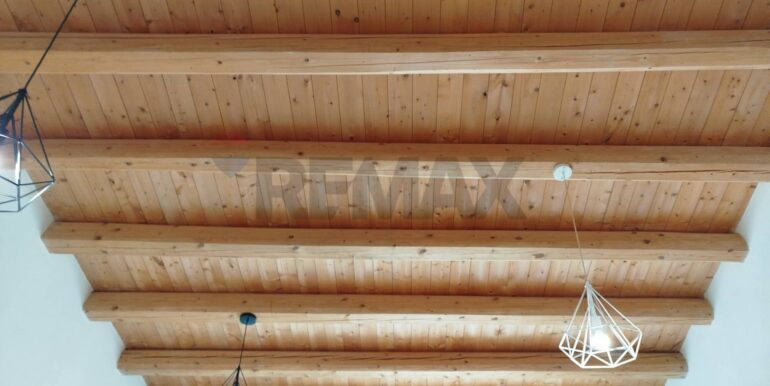 20250228194636-933359-12