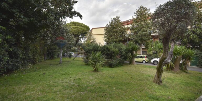 20250228204322-933364-6