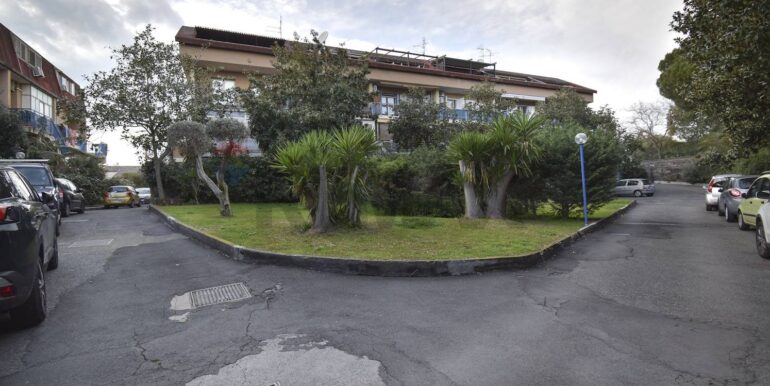 20250228204323-933364-7