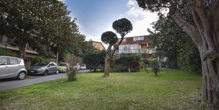 20250228204325-933364-8