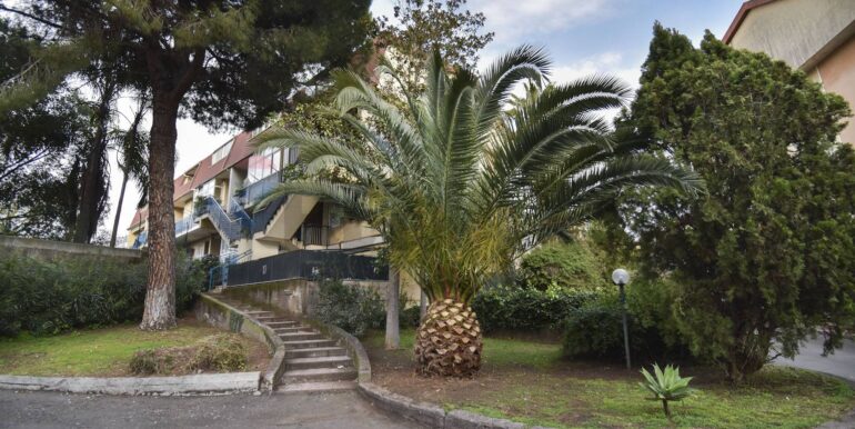 20250228204327-933364-9