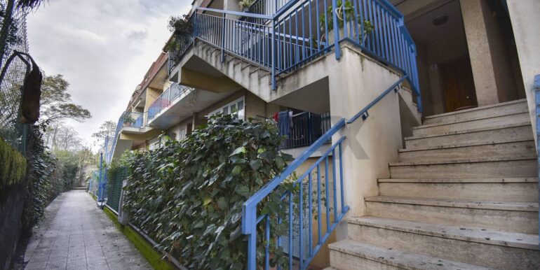 20250228204331-933364-11