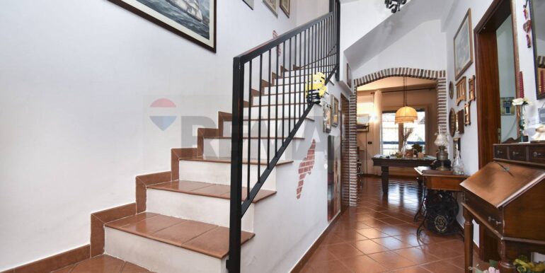 20250228204336-933364-14