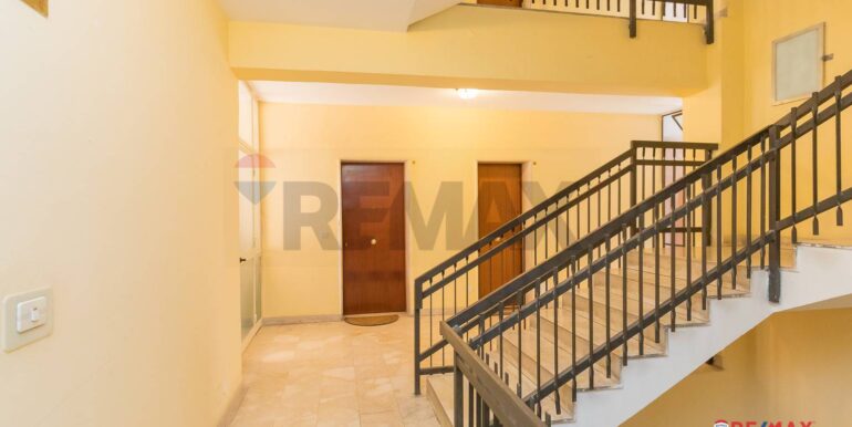 20250228205600-933365-13