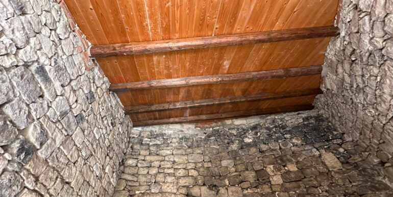 20250306102920-934239-1